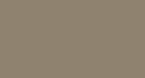 Perlbeige (seidenmatte Stahltür) | Edelstahl Türrahmen